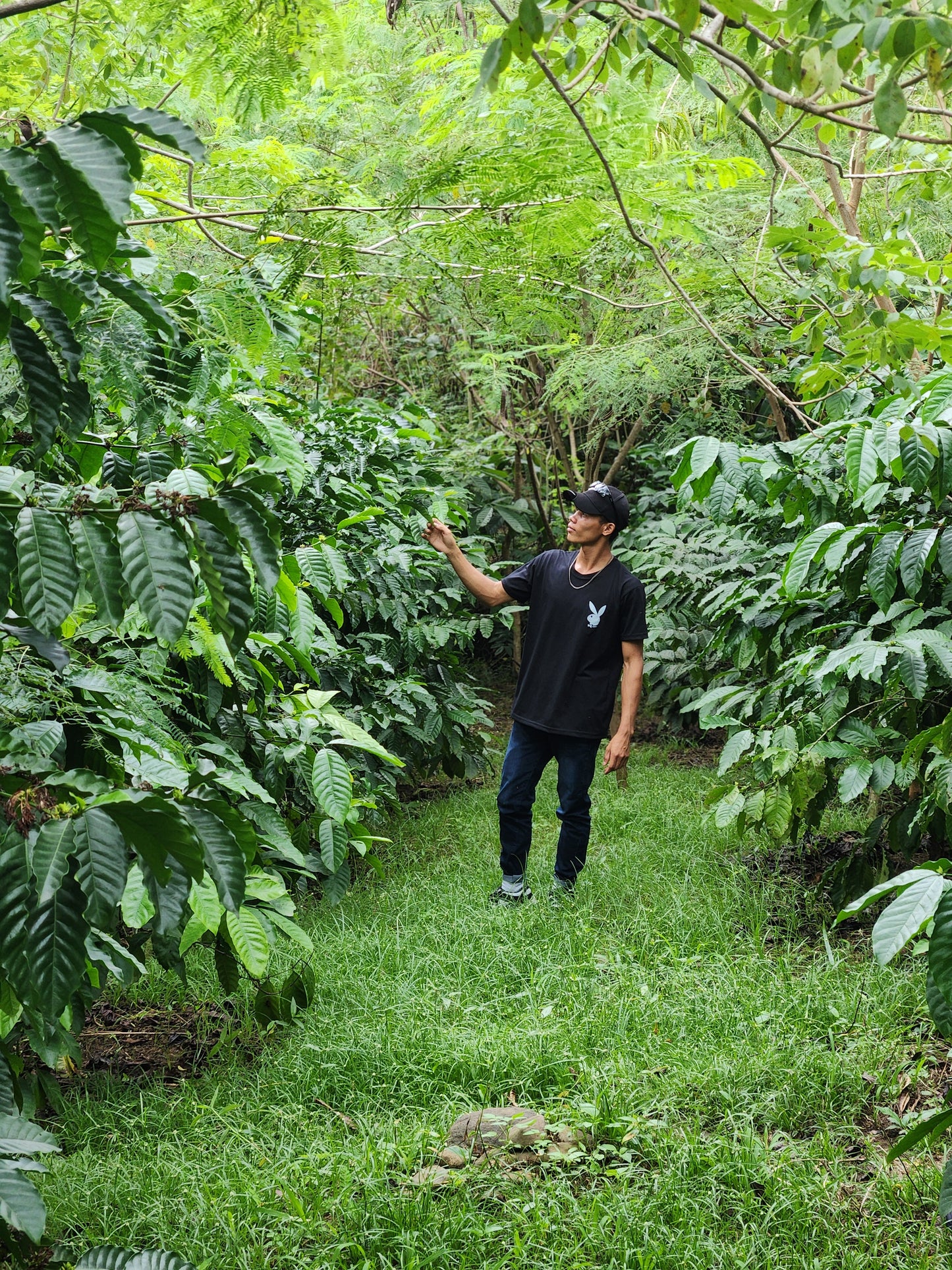 Sag-ang La Castellana Robusta Coffee 200G