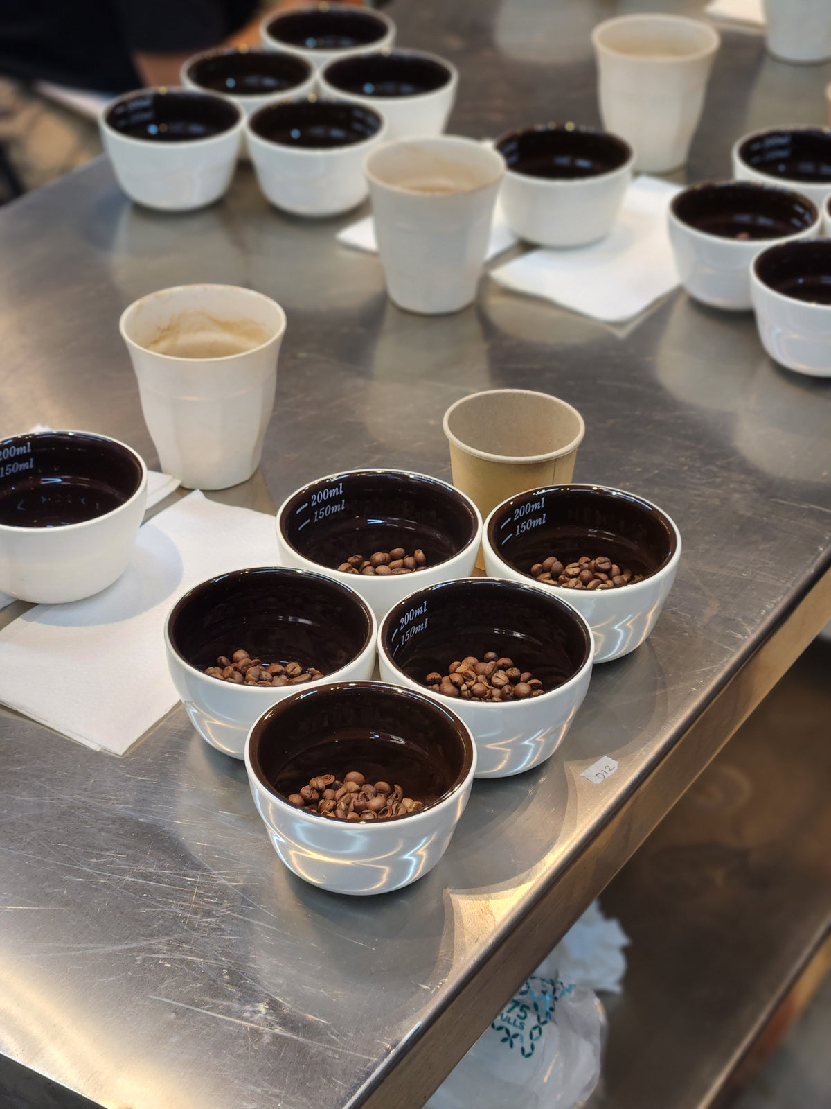 Coffee Cupping & Sensory Skills